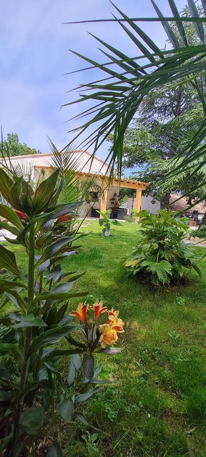 Gite Les 2 Cedres Villa Cardet Exteriör bild